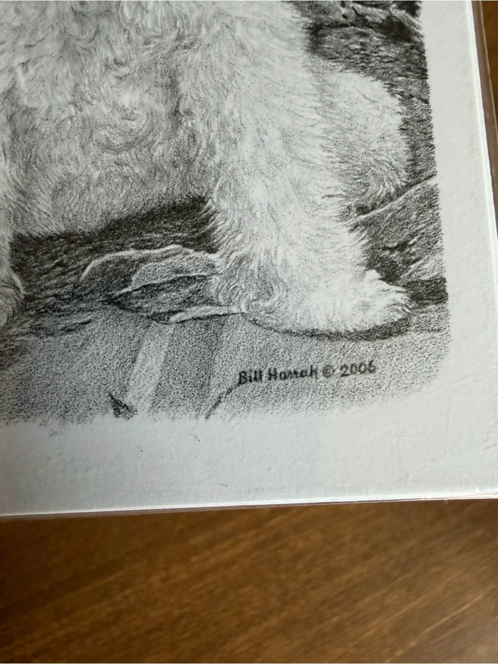 Poodle Dog Note Cards (8) Fine Art
